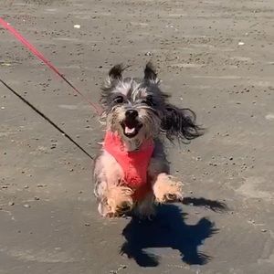 Meet your Posher, Alicia